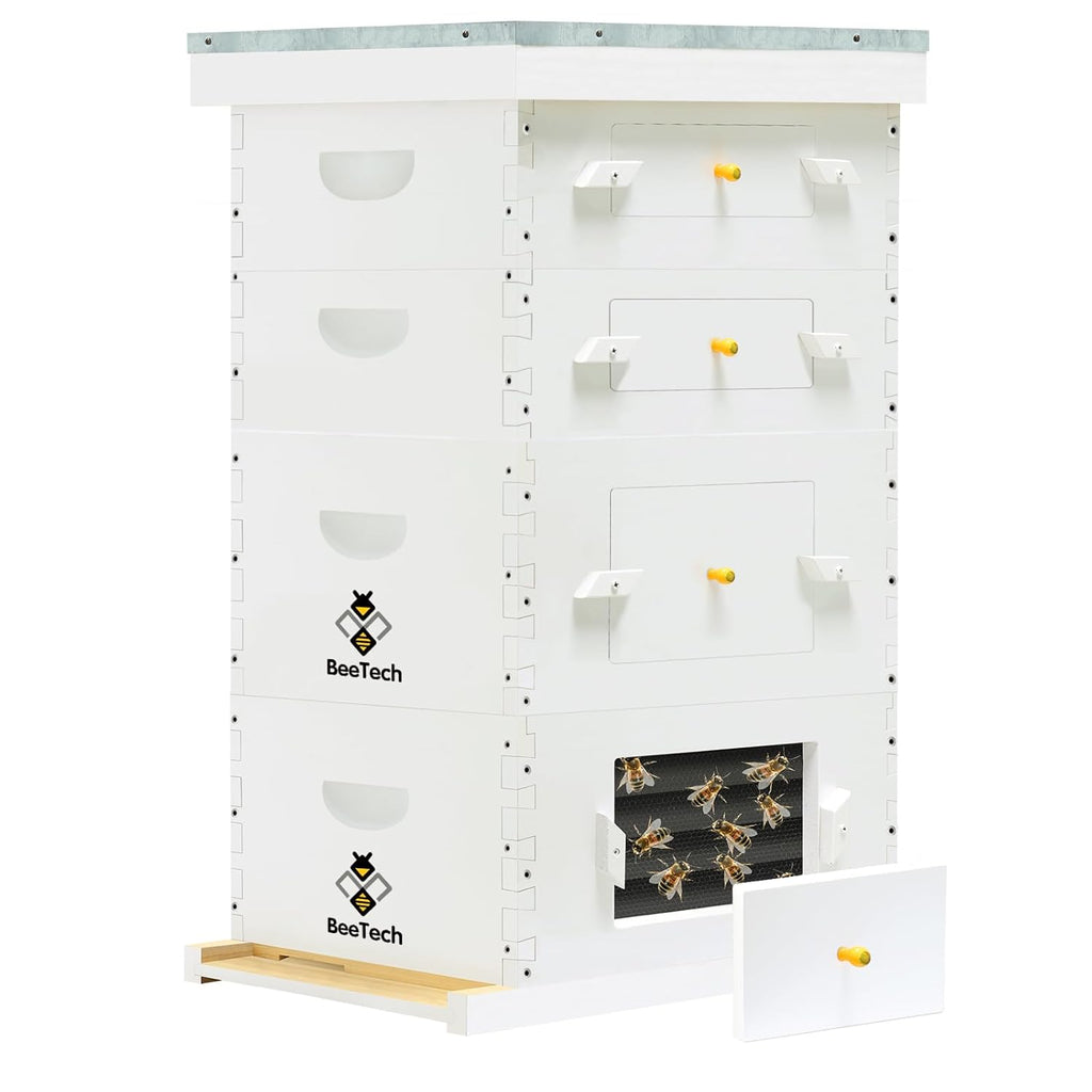 Newest Windows 8 Frame Bee Hive Kit Hand Painted Includes Unassembled Beehive Box with Beehive Frames and Foundations (2 Deep & 2 Medium)