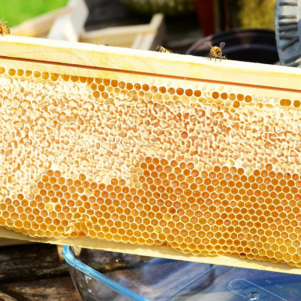 10-Pack Medium Super Box Wooden Beehive Frames and Beeswax Dipped Plastic Foundations for Beekeeping (Unassembled)