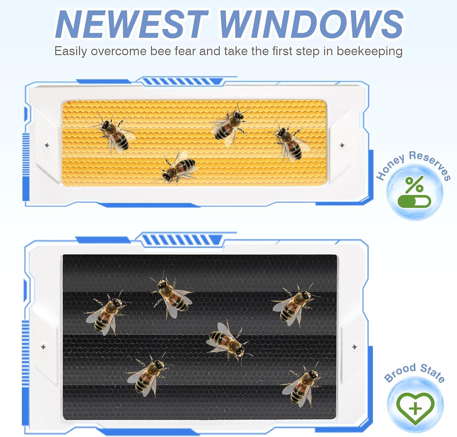 Newest Windows 8 Frame Bee Hive Kit Hand Painted Includes Unassembled Beehive Box with Beehive Frames and Foundations (1 Deep & 1 Medium)