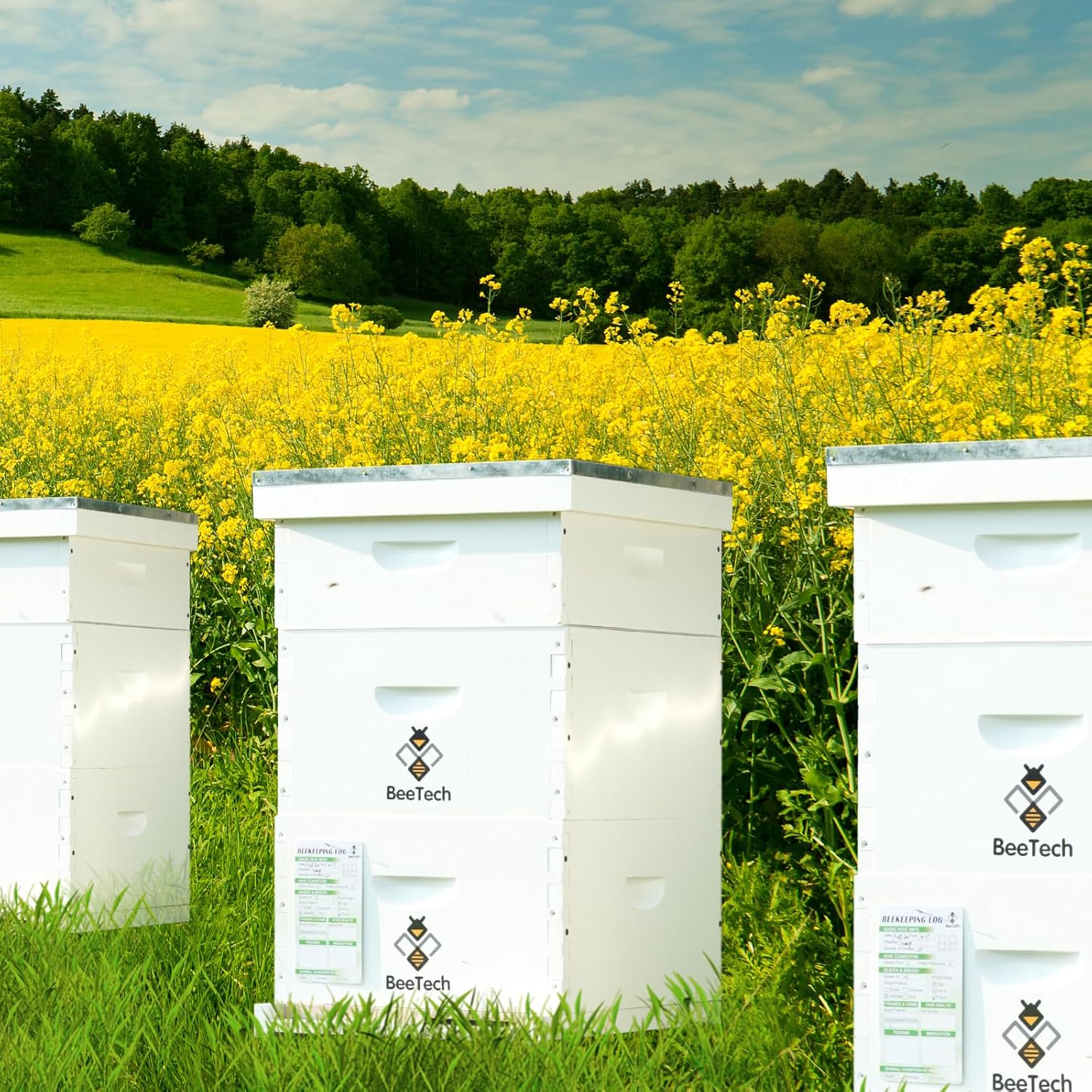 Newest Windows 8 Frame Bee Hive Kit Hand Painted Includes Unassembled Beehive Box with Beehive Frames and Foundations (1 Deep & 1 Medium)